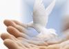 Hands dove